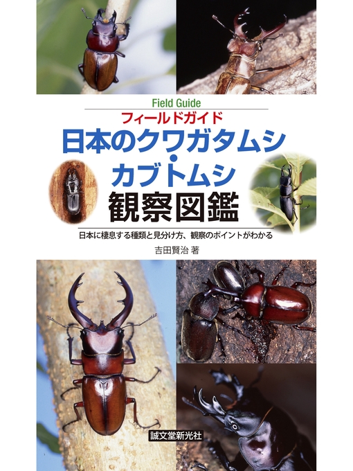 吉田賢治作の日本のクワガタムシ・カブトムシ観察図鑑:日本に棲息する種類と見分け方、観察のポイントがわかるの作品詳細 - 予約可能
